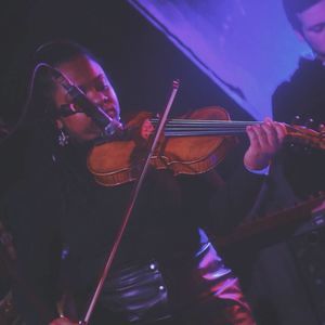 Meet your Posher, Mollie